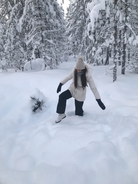 De nieve hasta las rodillas 2