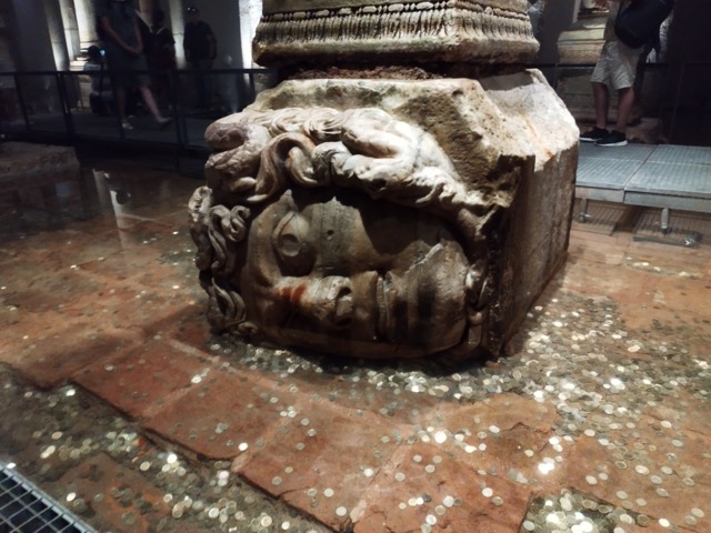 Cisterna (medusa)